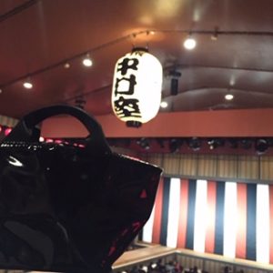 おすましのおでかけに♪