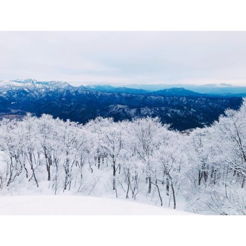 限定品と。。。⛄️