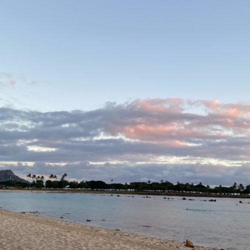 エルベと過ごすおいしい休日in Hawaii