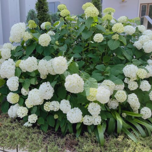 お出かけしたくなるブランタグ☆彡