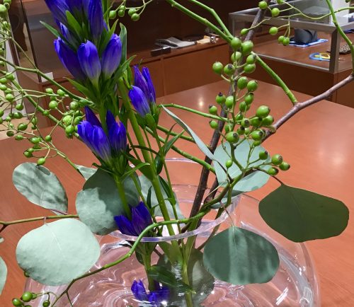 お久しぶりの…👀