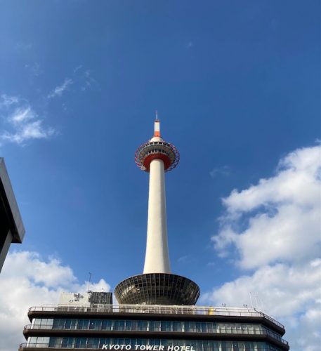 生産終了の可愛いカラー♪