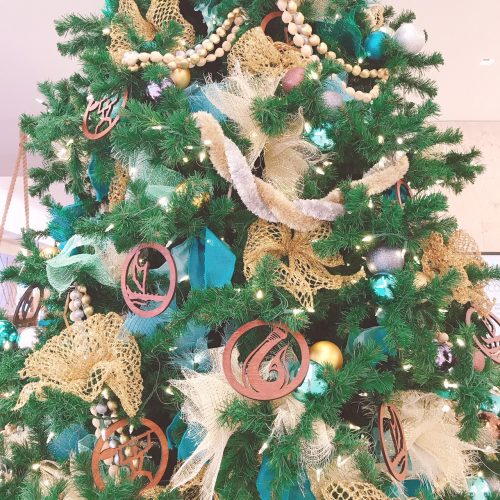 クリスマス前からウキウキ🎄