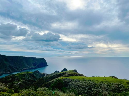秋のキャンペーン🍁