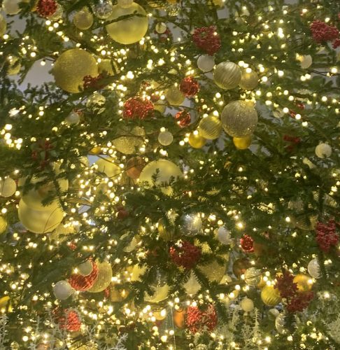 【玉川髙島屋S.C店】クリスマスシーズン🎄到来ですね⭐️