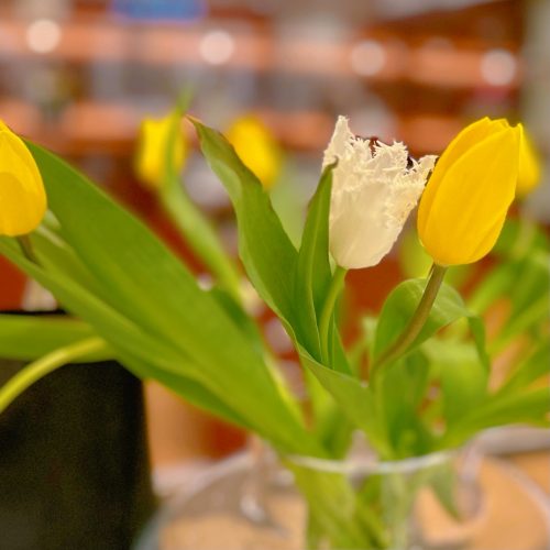 C’est bientôt nouvelle vie 📚