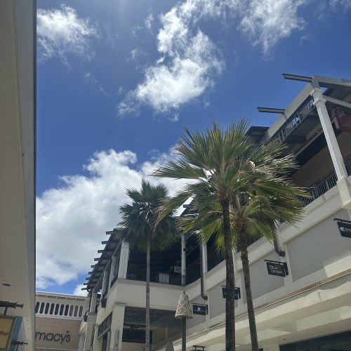 あなたはどっち派？