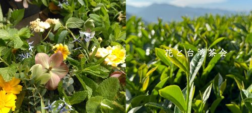 【メゾン京都】花と台湾茶会