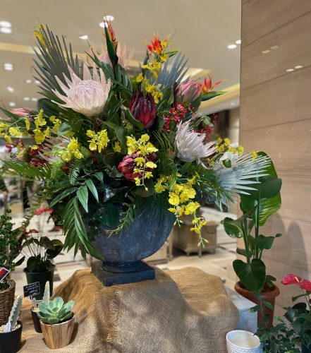 ～暑さも和らぐモノ🦉～