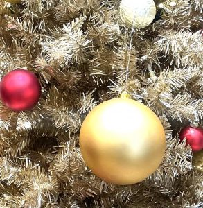 ～なんと?!　11月にもあるなんて🦉～