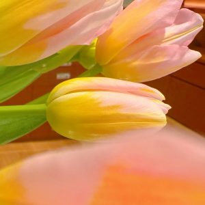 【松屋銀座】OVER NIGHTER BAG✈