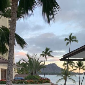 春が待ち遠しくなるS/Sカラー