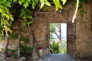 【よみもの】赤とピンクにまつわる二つのお話