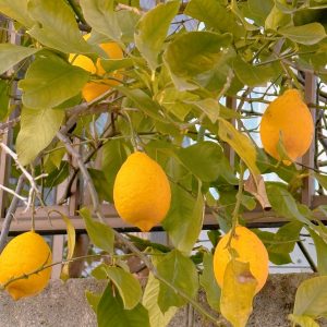 【MATSUYAGINZA】Special bag★