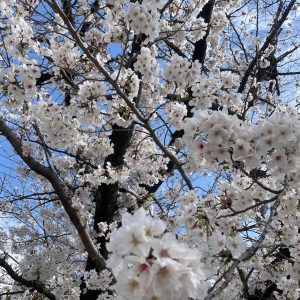 【松屋銀座】新生活おすすめバッグ