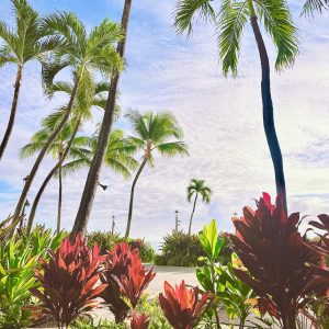 ハワイでチョコ探検隊🍫