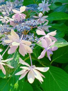 大人気ショルダーバッグ★