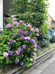 【代官山】気分が上がるカラー 〜小野編〜