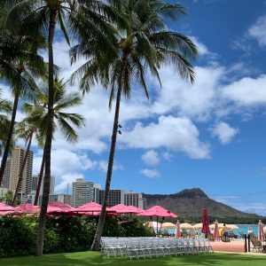 ハワイ限定がやってきた！