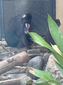 【大分トキハ】そうだ　京都へ行こう‼