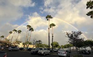 ハワイ限定ポシェットにハワイ限定チャームを付けてみた🌈