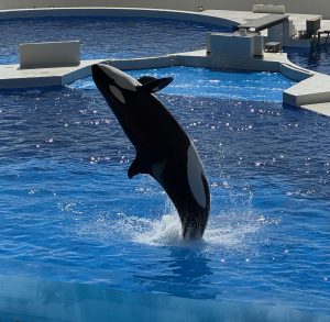 【あべの】レジャー＆新色part3✨