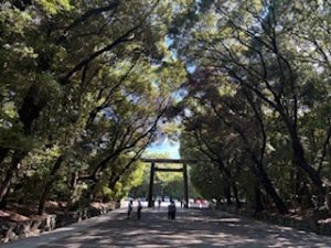 注目の👀ビッグポシェット