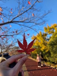 【西宮阪急】ご褒美エルベ♡part３